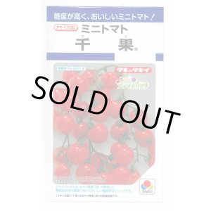 画像: 送料無料　[トマト/ミニトマト]　千果　小袋(16粒)　タキイ種苗(株)　DF