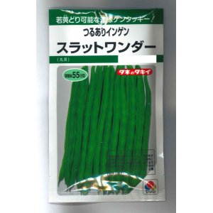 画像: [いんげん]　つるあり　スラットワンダー　45ml　タキイ種苗　GF　