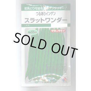 画像: 送料無料　[いんげん]　つるあり　スラットワンダー　45ml　タキイ種苗　GF