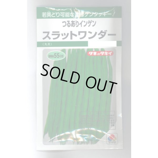 画像1: 送料無料　[いんげん]　つるあり　スラットワンダー　45ml　タキイ種苗　GF (1)