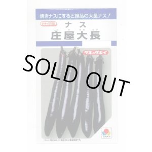 画像: 送料無料　[なす]　庄屋大長　50粒　タキイ種苗(株)　DF