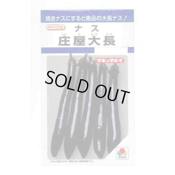 画像1: 送料無料　[なす]　庄屋大長　50粒　タキイ種苗(株)　DF (1)
