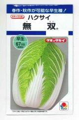 画像: 送料無料　[白菜]　無双　2.2ml　タキイ種苗(株)　DF