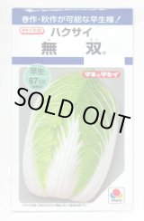 画像: 送料無料　[白菜]　無双　2.2ml（約280粒）　タキイ種苗(株)　DF