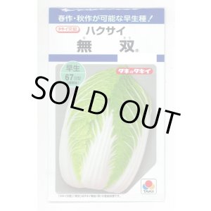画像: 送料無料　[白菜]　無双　2.2ml（約280粒）　タキイ種苗(株)　DF