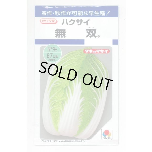 画像1: 送料無料　[白菜]　無双　2.2ml（約280粒）　タキイ種苗(株)　DF (1)