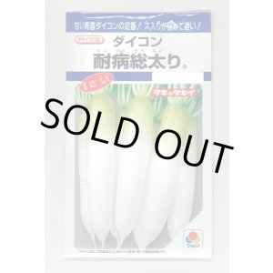 画像: 送料無料　[大根]　耐病総太り　16ml　タキイ種苗(株)　DF