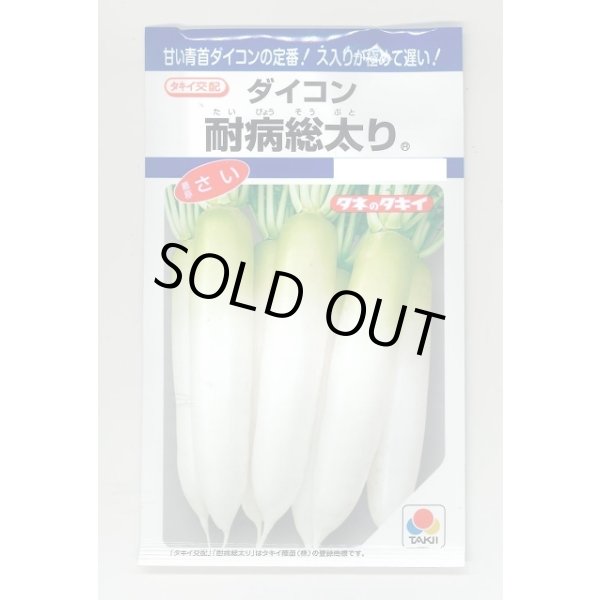 画像1: 送料無料　[大根]　耐病総太り　16ml　タキイ種苗(株)　DF (1)