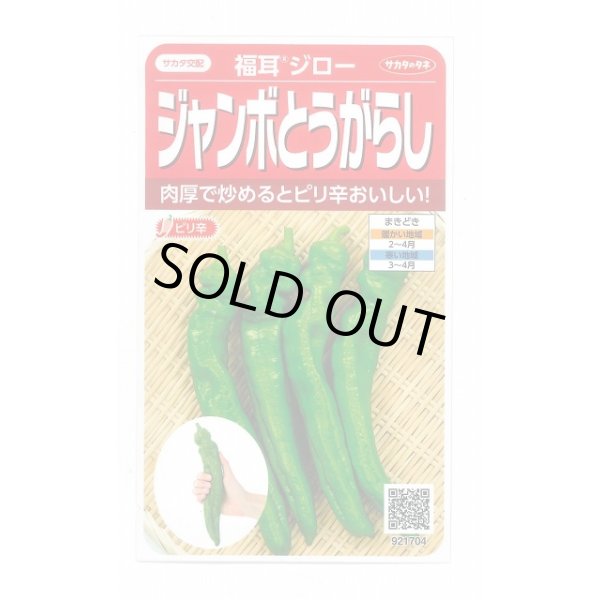 画像1: 送料無料　[トウガラシ]　福耳ジロー　約25粒　(株)サカタのタネ　実咲450（003730） (1)