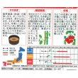 画像2: [トマト/大玉トマト]　サンロード　11粒　サカタのタネ（株）　実咲400 (2)