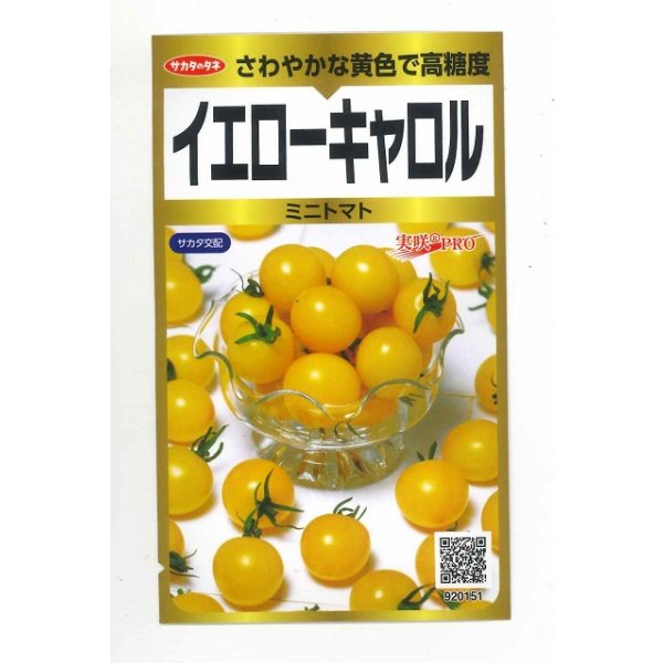 画像1: 送料無料　ミニトマト　イエローキャロル　40粒　(株)サカタのタネ　実咲PRO (1)