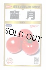 画像: 送料無料　[トマト]　麗月　40粒　(株)サカタのタネ　実咲PRO　003737