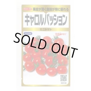 画像: 送料無料　[トマト/ミニトマト]　キャロルパッション　40粒　(株)サカタのタネ　実咲PRO