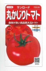 画像: [トマト/大玉トマト]　サンロード　11粒　サカタのタネ（株）　実咲400