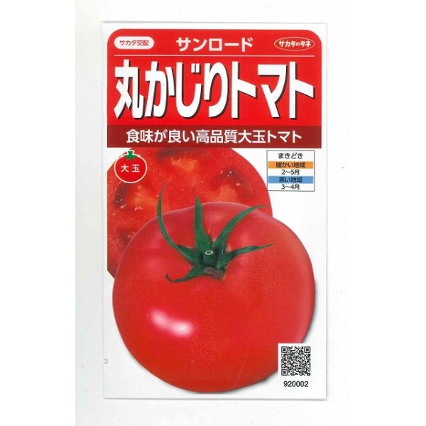 画像1: [トマト/大玉トマト]　サンロード　11粒　サカタのタネ（株）　実咲400 (1)