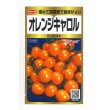 画像1: [トマト/ミニトマト]　オレンジキャロル　40粒　サカタのタネ（株）　実咲PRO (1)