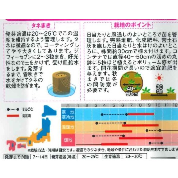 画像2: 送料無料　花の種　よく咲くペチュニア　バカラIQミックス　約50粒　実咲350（027726） (2)