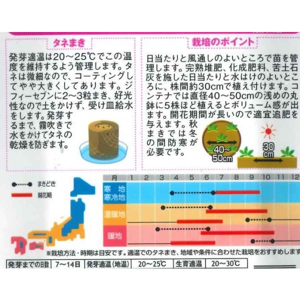 画像2: 花の種　よく咲くペチュニア　バカラIQミックス　約50粒　実咲350 (2)