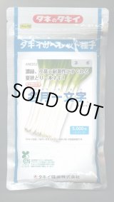 画像: 送料無料 [ねぎ] 名月一文字 ペレット種子 2L 5000粒 タキイ種苗(株)