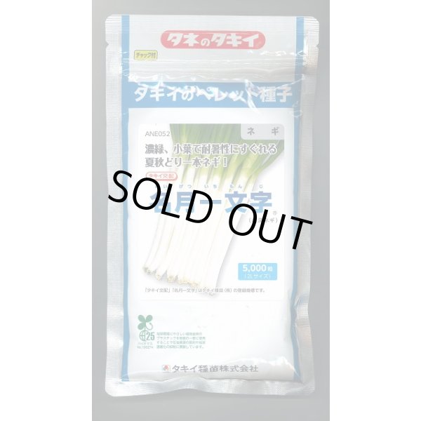 画像1: 送料無料 [ねぎ] 名月一文字 ペレット種子 2L 5000粒 タキイ種苗(株) (1)
