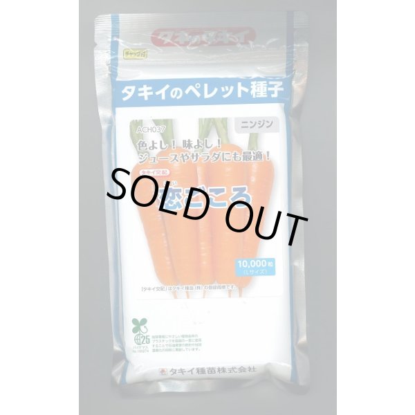 画像1: 送料無料　[人参]　恋ごころ　ペレット1万粒　タキイ種苗(株) (1)