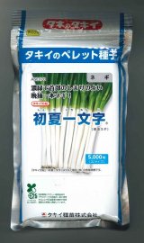 画像: 送料無料[ねぎ]　初夏一文字　2Lコート5千粒　タキイ種苗
