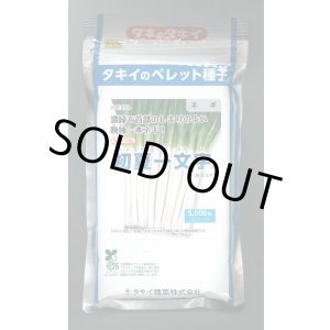 画像: 送料無料[ねぎ]　初夏一文字　2Lコート5千粒　タキイ種苗
