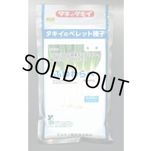 画像: 送料無料　[ねぎ]　ふゆわらべ　2Lペレット5千粒　タキイ種苗