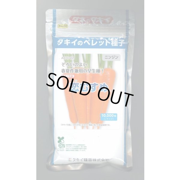 画像1: 送料無料 [人参] 恋むすめ コート1万粒 タキイ種苗(株) (1)