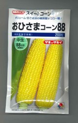 画像: 送料無料　[とうもろこし]　おひさまコーン88　200粒　タキイ種苗(株)