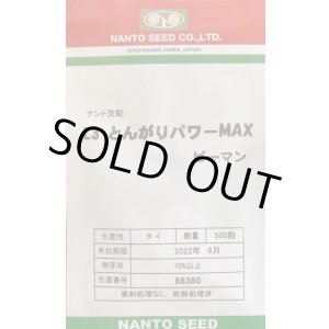画像: 送料無料　[ピーマン]　L3とんがりパワーMAX　500粒　ナント種苗(株)