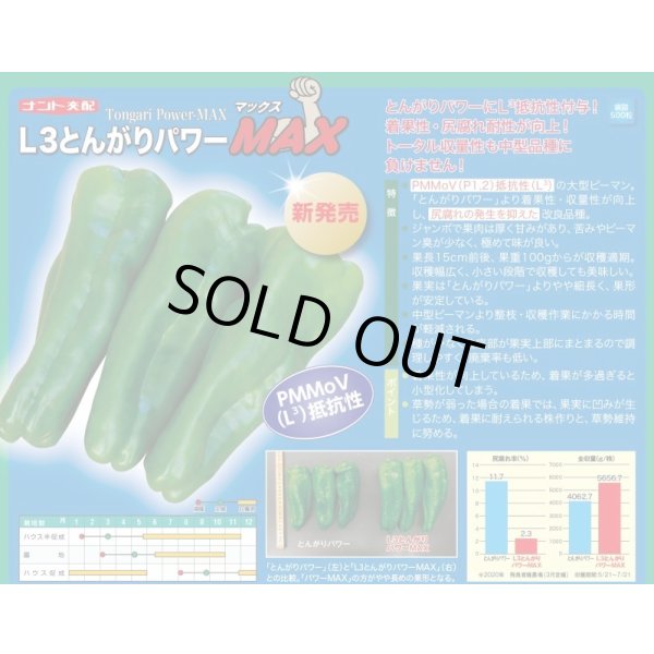 画像2: 送料無料　[ピーマン]　L3とんがりパワーMAX　500粒　ナント種苗(株) (2)