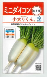 画像: 送料無料　[大根]　小太りくん　2ml(およそ190粒)　雪印種苗(株)