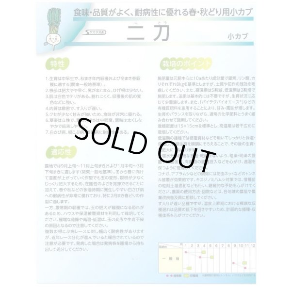 画像4: 送料無料 [かぶ] 二刀 20ml (株)サカタのタネ (4)