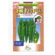 画像1: 送料無料　[とうがらし]　万願寺とうがらし　1ml　(株)タカヤマシード (1)