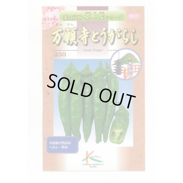 画像1: 送料無料　[とうがらし]　万願寺とうがらし　1ml　(株)タカヤマシード (1)