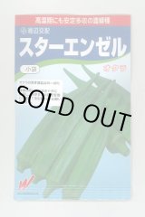 画像: 送料無料　[オクラ]　スターエンゼル　45粒　渡辺農事（株）