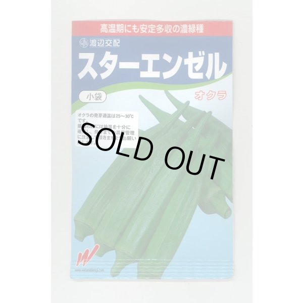 画像1: 送料無料　[オクラ]　スターエンゼル　45粒　渡辺農事（株） (1)