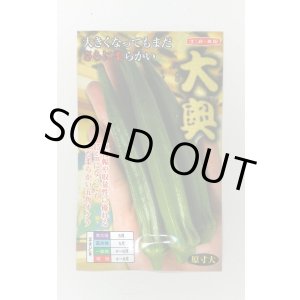 画像: 送料無料　[オクラ]　大奥　6ml(約60粒)　ナント種苗(株)