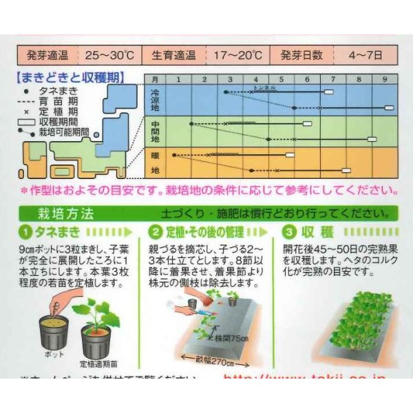 画像2: [かぼちゃ]　夢味　　9粒 　タキイ種苗　RF (2)