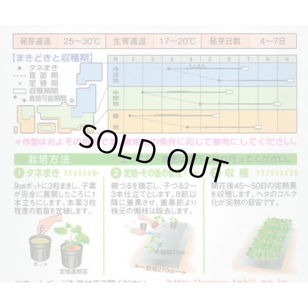 画像2: 送料無料　[かぼちゃ]　夢味　100粒　タキイ種苗 (2)