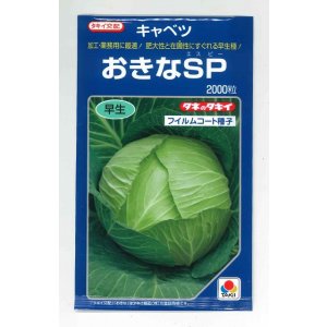 画像: 送料無料　[キャベツ]　おきなSP　2000粒　貴種(コートしてません)　タキイ種苗(株)