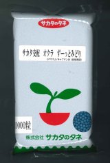 画像: 送料無料 [オクラ] ずーっとみどり 1万粒 (株)サカタのタネ