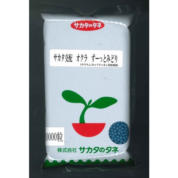 画像1: 送料無料 [オクラ] ずーっとみどり 1万粒 (株)サカタのタネ (1)