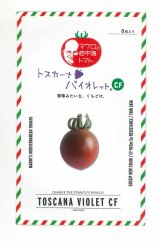 画像: 送料無料　[トマト/マウロの地中海トマト]　トスカーナバイオレットCF　100粒　サナテックシード（株）