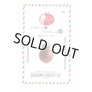 画像: 送料無料　[ミニトマト]　トスカーナバイオレットCF　100粒　サナテックシード（株）