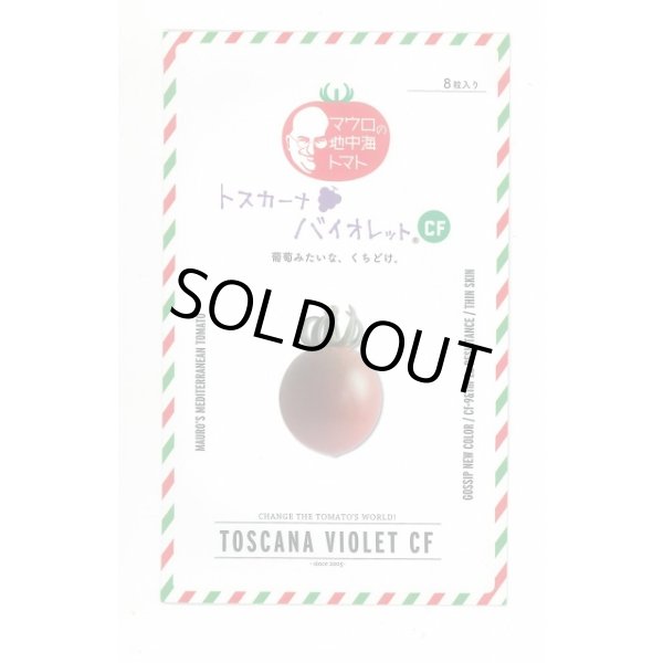 画像1: 送料無料　[ミニトマト]　トスカーナバイオレットCF　8粒　サナテックシード（株） (1)