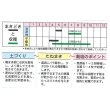 画像3: [葉物]　アシタバ　4ｍｌ　（株）タカヤマシード (3)