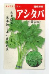 画像: 送料無料　アシタバ　4ml　(株)タカヤマシード