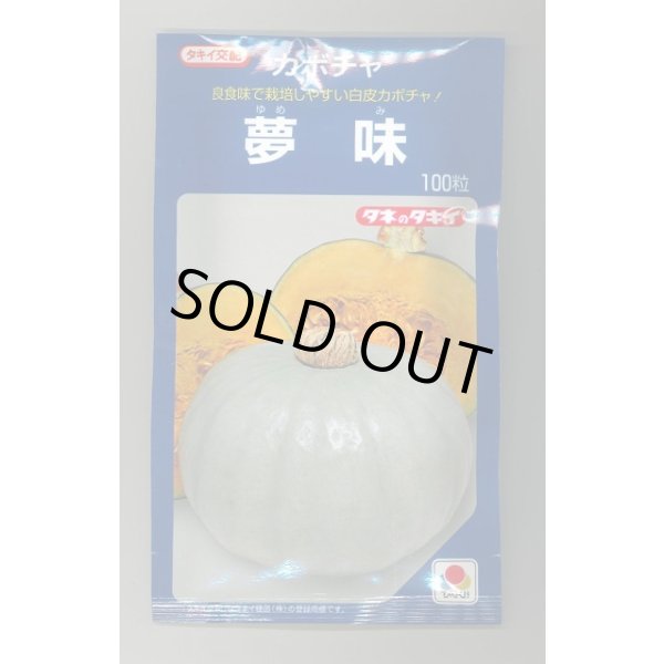 画像1: 送料無料　[かぼちゃ]　夢味　100粒　タキイ種苗 (1)